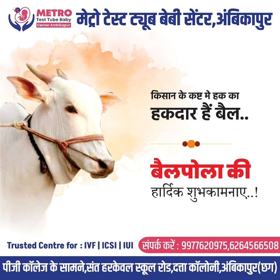 IVF Important Tips | Metro IVF Ambikapur