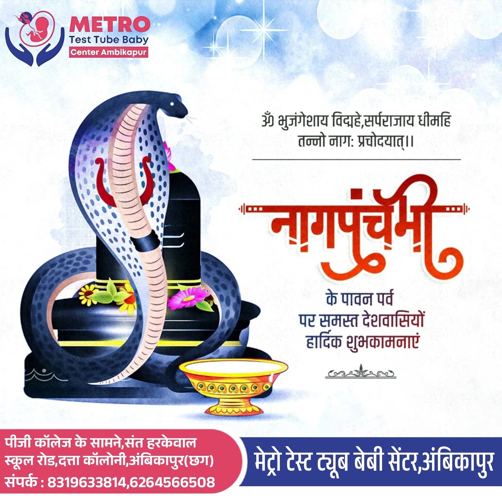 IVF Important Tips | Metro IVF Ambikapur